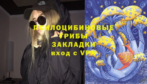 крисы Покровск