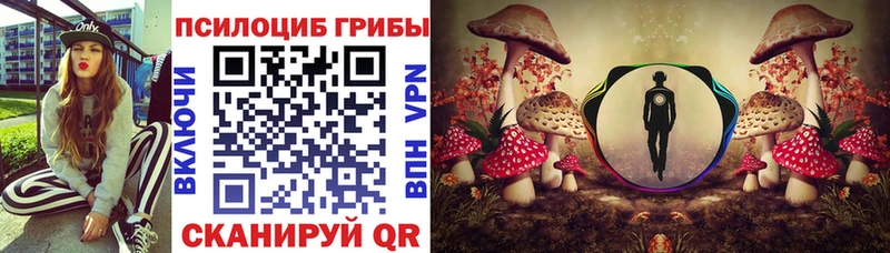 Галлюциногенные грибы Psilocybe Чишмы